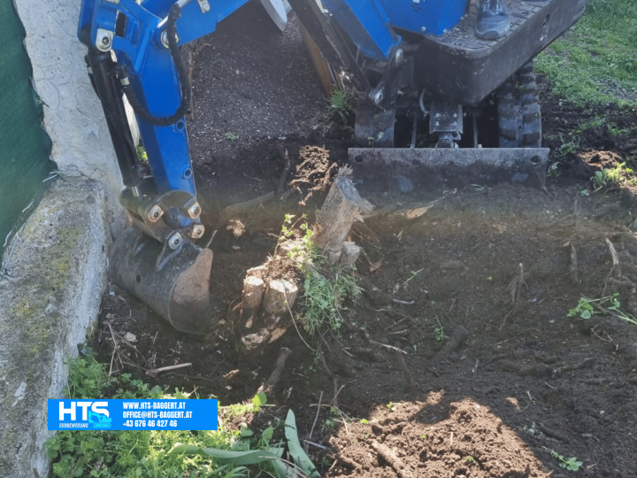 Minibagger beim Freilegen und Ausgraben eines tief sitzenden Wurzelstocks entlang einer Gartenmauer bei beengten Platzverhältnissen.