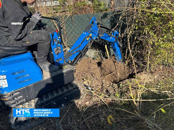 Minibagger bei der Heckenentfernung und beim Ausgraben des Wurzelwerks entlang einer Grundstücksgrenze – Baggerarbeiten auf engem Raum.