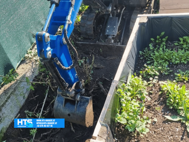 Kompakter Minibagger beim Entfernen von Wurzeln auf engem Raum zwischen Grundstücksgrenze und Hochbeet – Engraumarbeiten im Garten.