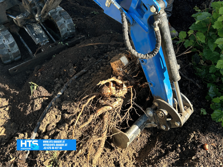 Ausgraben und Entfernen von tiefem Wurzelwerk mit dem Minibagger vor der Herstellung des Terrassenunterbaus.